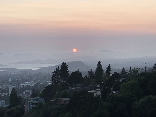 View over Berkeley and San Francisco Bay