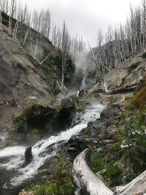 Field work at Cord&oacute;n Caulle