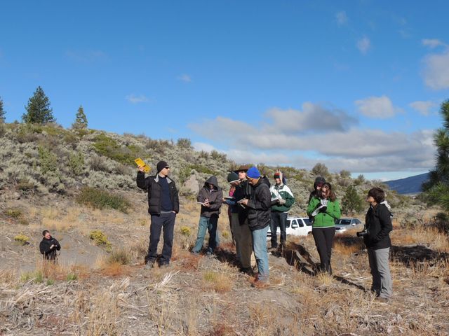 Andesite Flow