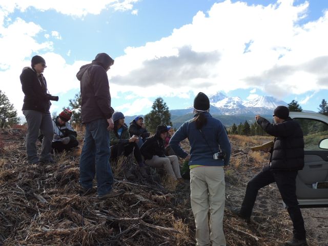 Andesite Flow