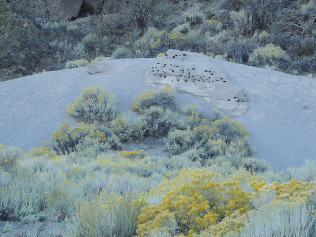 Debris Avalanche