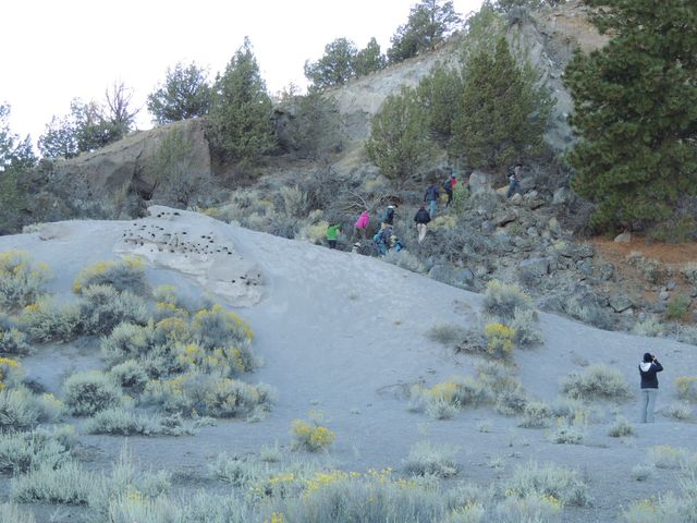 Debris Avalanche