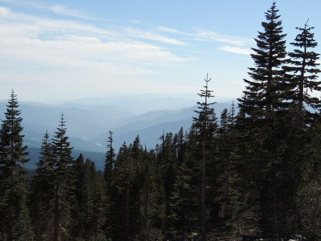 Mount Shasta up close