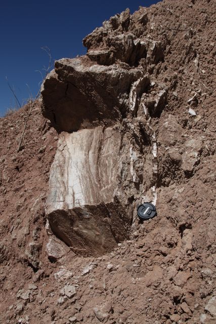 Todilto Formation
