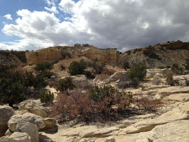 Jackpile Member of Morrison Fm. with Jurassic/Cretaceous unconformity on top