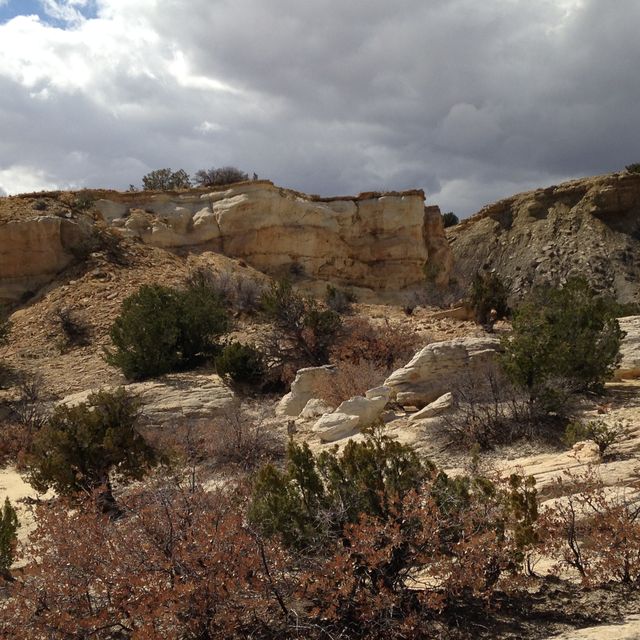 Jackpile Member of Morrison Fm. with Jurassic/Cretaceous unconformity on top