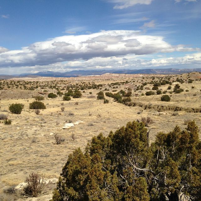 Looking northward