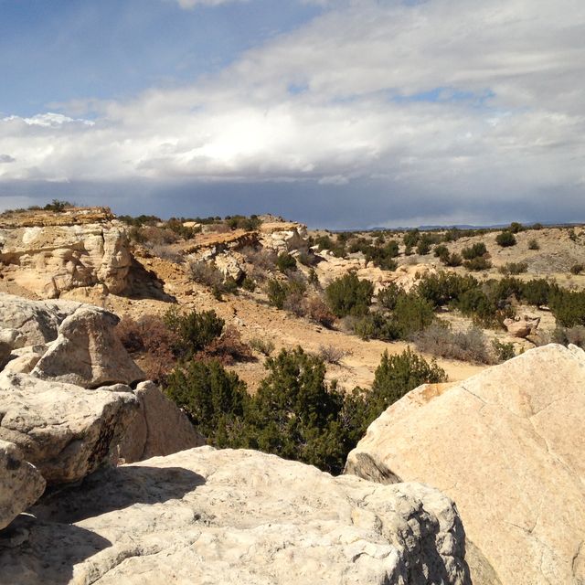 Jackpile sandstone (Morrison Fm.)