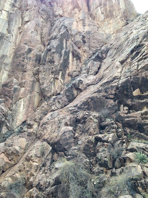 Fault in Precambrian gneiss (Box Canyon)