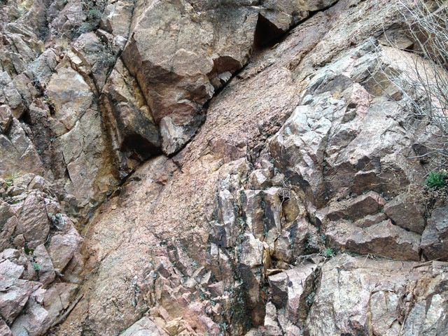 Fault gauge in Precambrian gneiss (Box Canyon)