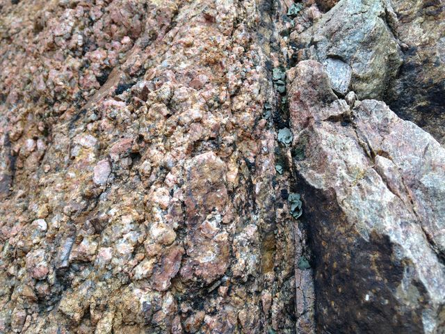 Fault gauge in Precambrian gneiss (Box Canyon)