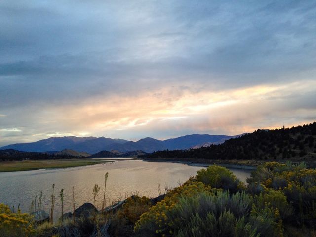 Lake Shastina