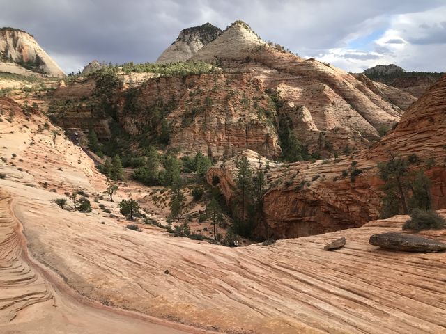 Zion