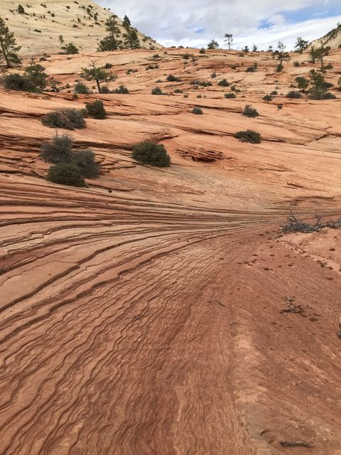 Zion