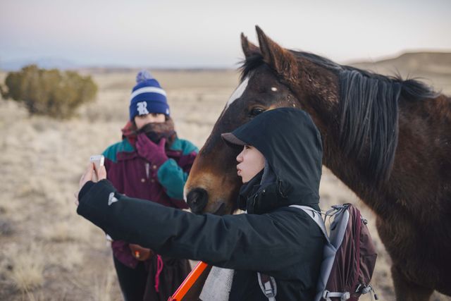 Horse and Bei taking selfie, with Jackie wondering if its a good idea