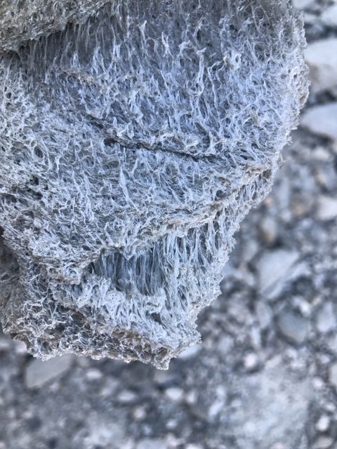 Stretched Vesicles