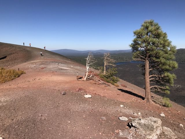 Cinder Cone